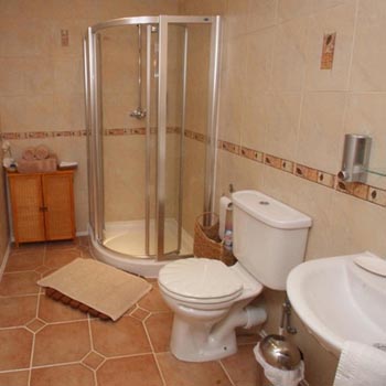 The  Terracotta Room En-Suite WC & Shower